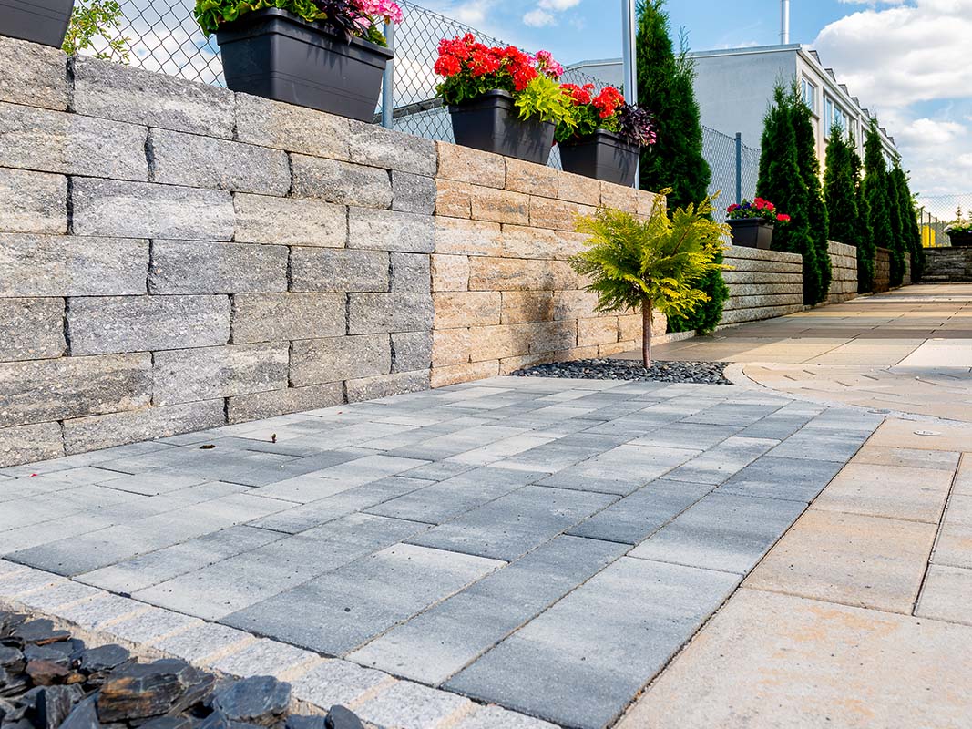 Bild Text Kombi Zoom 800x1067px HFE5178 Pflaster 3 bearb