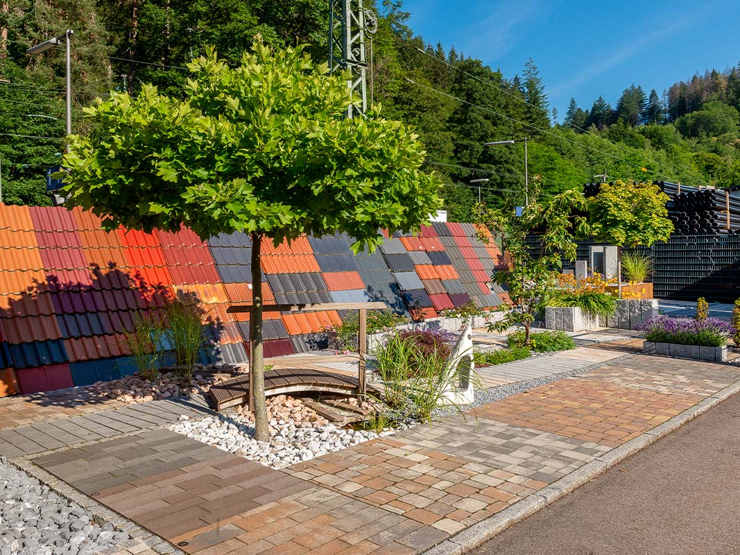 Bild Text Kombi Zoom 800x1067px HFE5236 bearb