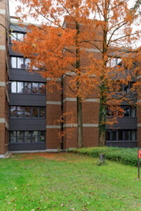 arbeitsamt offenburg1 gr