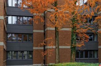 csm arbeitsamt offenburg1 gr 0715f4c204